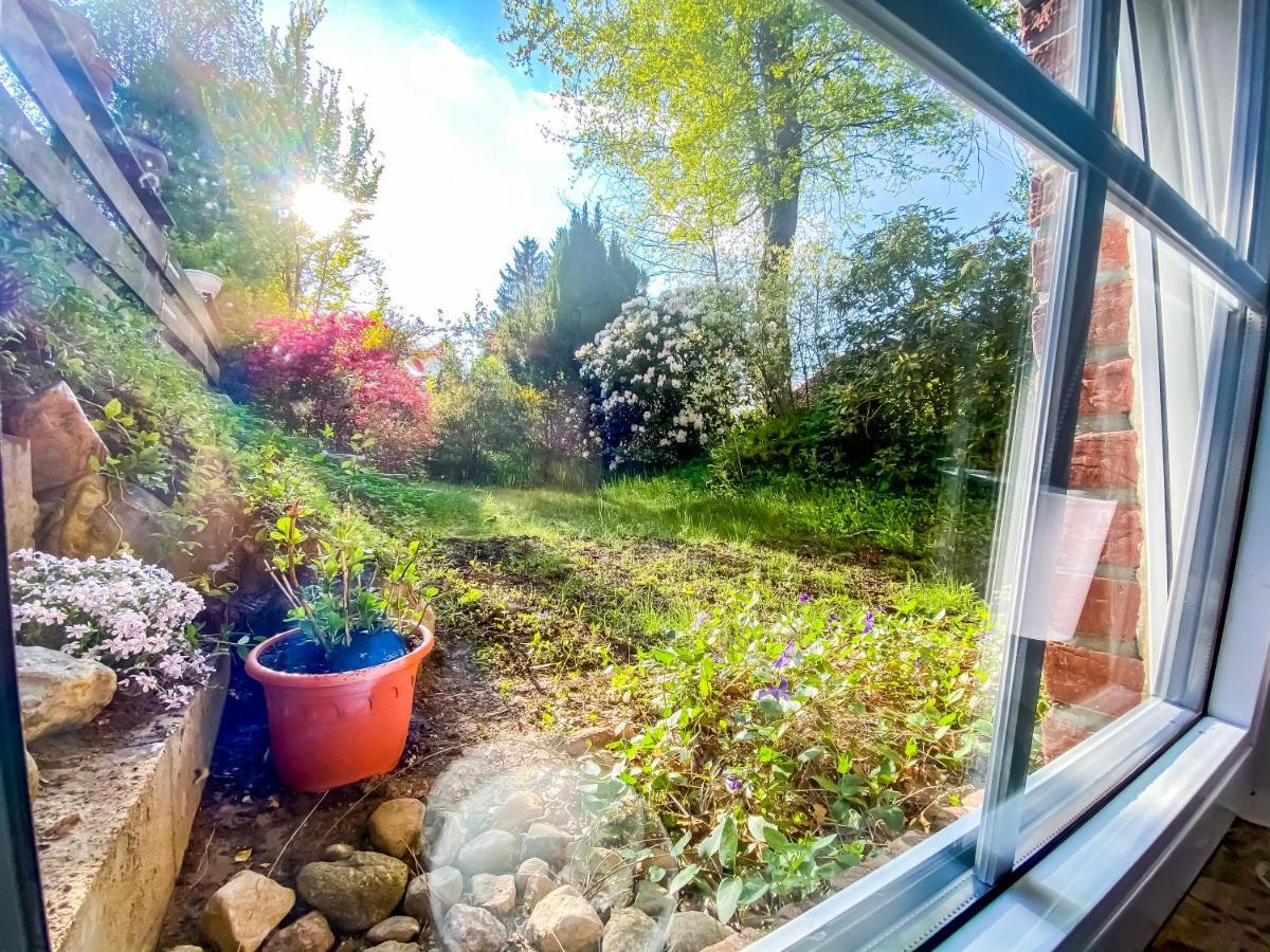 Ferienwohnung Im Sachsenwald Dassendorf Exteriör bild